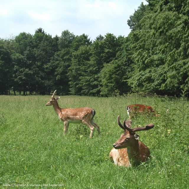 Freiherr-von-Wintzingerode-Park