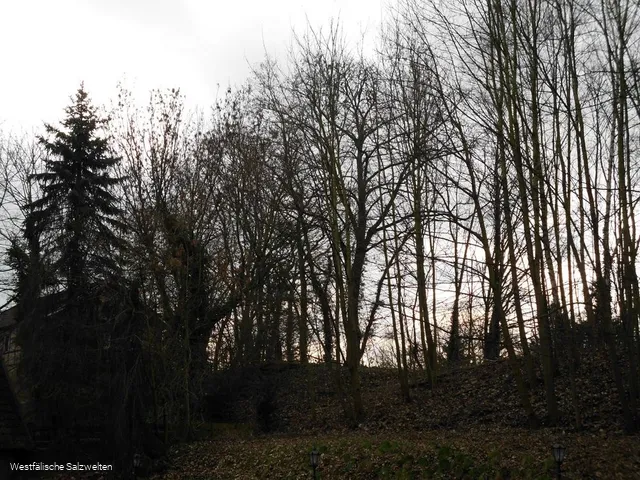 Ehemailiger Bahndamm Bad Sassendorf