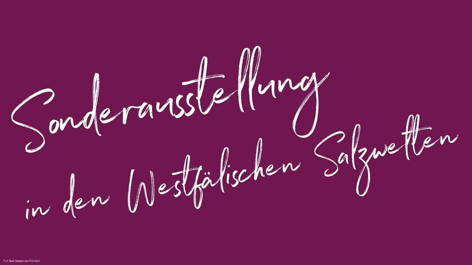 Sonderausstellung in den Westfälischen Salzwelten Sonderausstellung in den Westfälischen Salzwelten