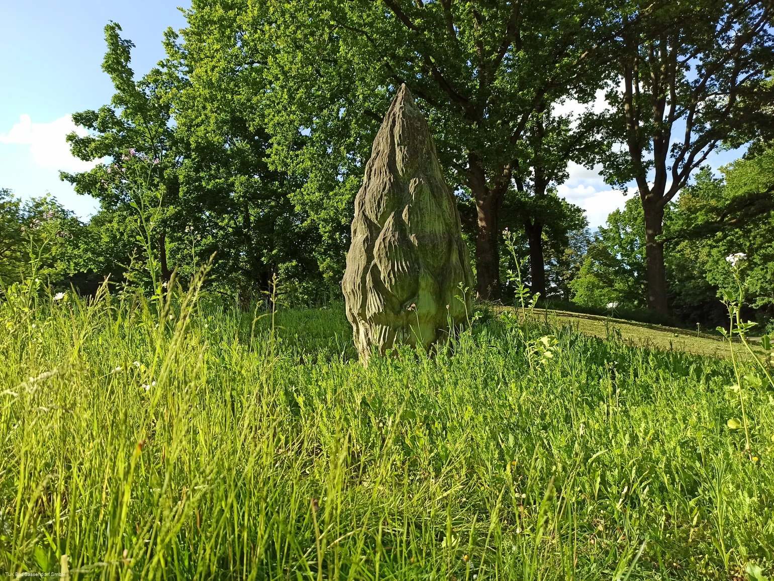 Kraft der Natur (Skulptur in Bad Sassendorf)