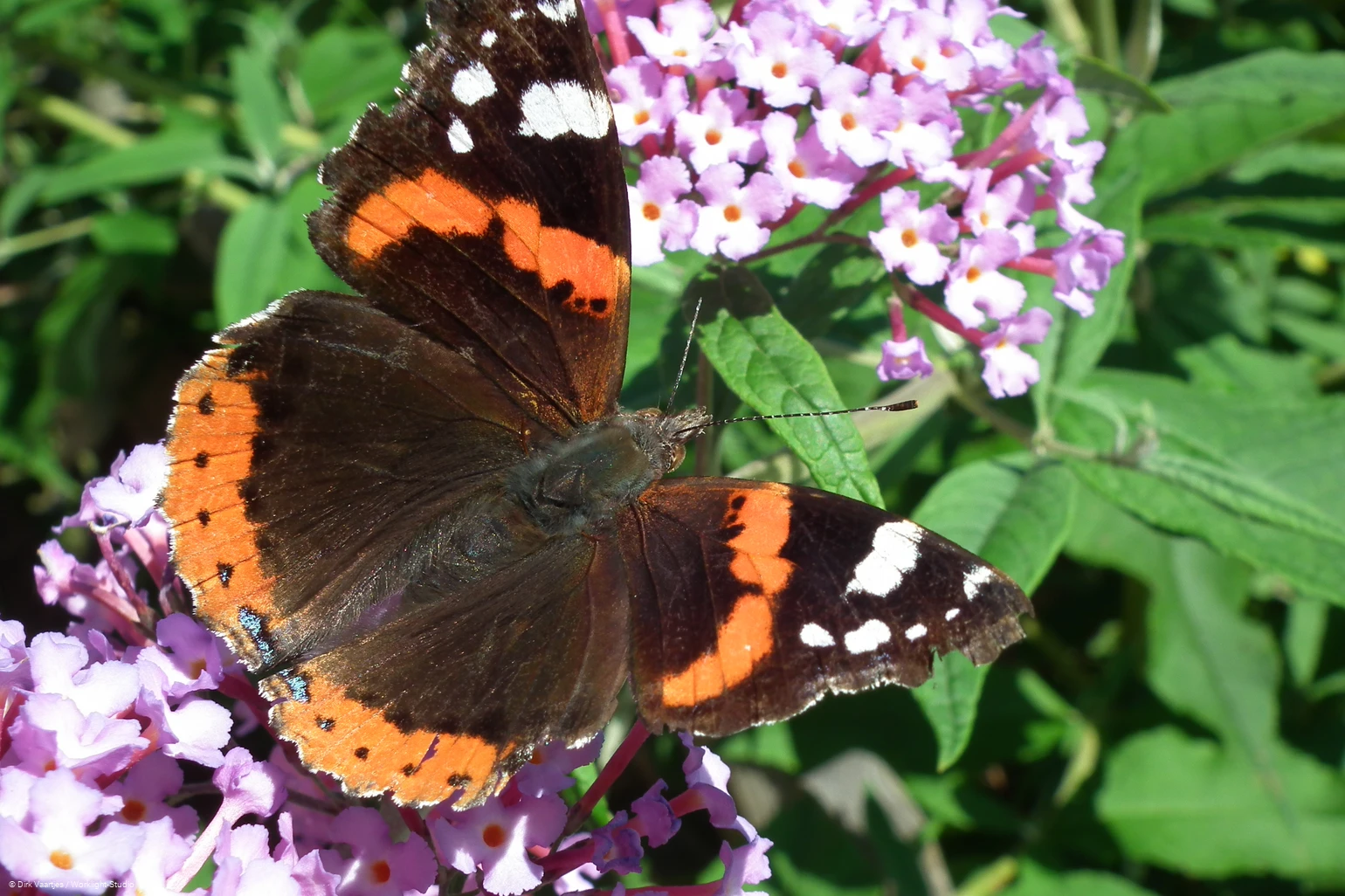 Augenblickmaltouren im Kurpark