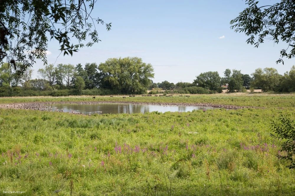 Naturschutzgebiet Woeste bei Bad Sassendorf