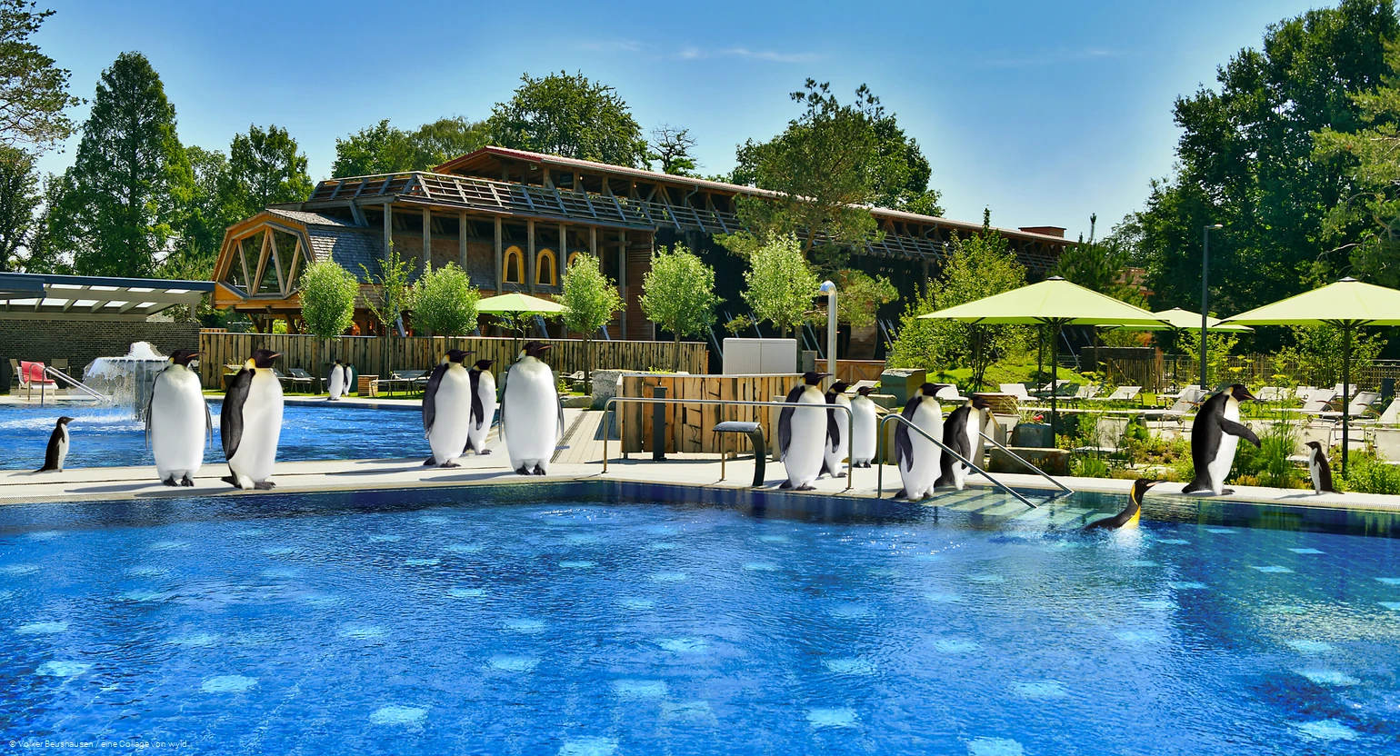 Pinguine in der Börde Therme Bad Sassendorf gibt es nicht wirklich, dies ist eine Collage, um zu zeigen, was für ein cooler Ort die Börde Therme Bad Sassendorf ist.