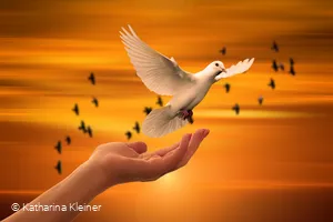 Inneren Frieden finden