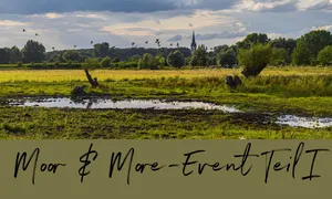 Moor & more-Event Teil 1
