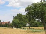 Herringsen in der Soester Börde