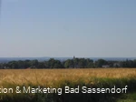 Blick auf Neuengeseke