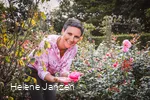 Rosengarten im Kurpark Bad Sassendorf