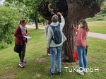 Im Kurpark Bad Sassendorf den Fokus auf Details in der Natur zu richten und wunderschön Verborgenes zu finden, ist Teil des Achtsamkeitsspaziergangs mit Christiane Schnitker.