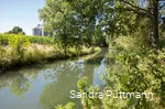 Viele Besonderheiten in der Flora und Fauna gibt es entlang der Rosenau von Bad Sassendorf-Weslarn bis ins Ortszentrum Bad Sassendorf zu entdecken.