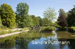 Kurpark Bad Sassendorf (Blick über den Teich)