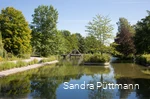 Kurpark Bad Sassendorf (Blick über den Teich)