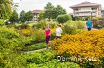 Der Kurpark Bad Sassendorf bietet vielfältige Möglichkeiten, aktiv zu werden und etwas für die Gesundheit zu tun, z. B. verschiedene Laufstrecken.