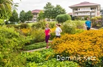 Der Kurpark Bad Sassendorf bietet vielfältige Möglichkeiten, aktiv zu werden und etwas für die Gesundheit zu tun, z. B. verschiedene Laufstrecken.