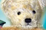 "Teddybären basteln" ist ein Angebot in der Kreativwerkstatt der Klinik Lindenplatz in Bad Sassendorf.