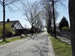 Der Kirchkamp in Weslarn. Eine traumhafte Allee!