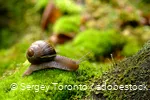 Augenblickmaltouren im Kurpark