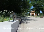 Katzen-Skulpturen am Gradierwerk Bad Sassendorf