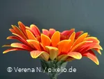 Bewusstseinscoaching - 02.05.2024