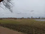 Geschafft! Im Naturschutzgebiet Woeste gibt es einiges zu entdecken. Am besten nimmt man ein Fernglas mit. Dann kann man zum Beispiel vom Beobachtungspunkt aus die Wasserbüffel besser erkennen.