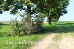 Langer Patt Bad Sassendorf-Gabrechten Richtung Heppen