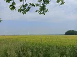 Ein erster Blick auf Soest, ein wenig im Dunst, trotzdem schön...