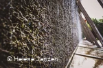 Architektur Gradierwerk - Rieseltisch