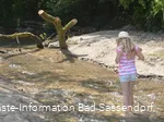 Rund ums Thema "Wasser" dreht sich die Führung "Wasserwelten - Quellen, Brunnen und Sole" mit Gästeführerin Carola Lutterbüse.