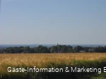 Blick auf Neuengeseke