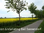 Kiepenkerlweg am Rand von Elfsen