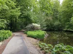 Rhododendronpark im Kurpark Bad Sassendorf