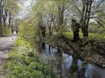 Die Rosenau läuft direkt am Weg entlang.