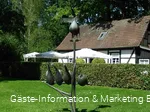 Hühnerbaum-Skulptur im Kurpark Bad Sassendorf