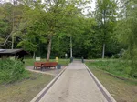 Der Weg in den Rhododendronpark im Kurpark Bad Sassendorf