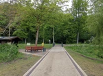 Der Weg in den Rhododendronpark im Kurpark Bad Sassendorf