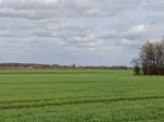 Auf dem Kreuzweg von Weslarn nach Bettinghausen kann man schon einmal einen Blick auf Ostinghausen werfen, wo später der Weg zurück nach Weslarn verläuft.