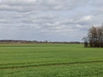 Auf dem Kreuzweg von Weslarn nach Bettinghausen kann man schon einmal einen Blick auf Ostinghausen werfen, wo später der Weg zurück nach Weslarn verläuft.