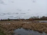 Vom neuen Ausssichtsturm eröffnet sich ein fantastischer Blick über das Naturschutzgebiet Woeste. Er fügt sich mit seiner Architektur ideal in das Gelände ein.