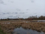 Vom neuen Ausssichtsturm eröffnet sich ein fantastischer Blick über das Naturschutzgebiet Woeste. Er fügt sich mit seiner Architektur ideal in das Gelände ein.