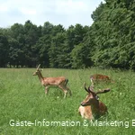 Freiherr-von-Wintzingerode-Park