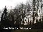 Ehemailiger Bahndamm Bad Sassendorf