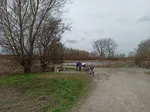 Die Informationstafeln zeigen, welche Pflanzen und Tiere im Naturschutzgebiet Woeste beheimatet sind.