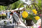 Herbstmarkt Bad Sassendorf