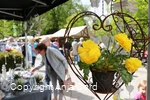 Herbstmarkt Bad Sassendorf